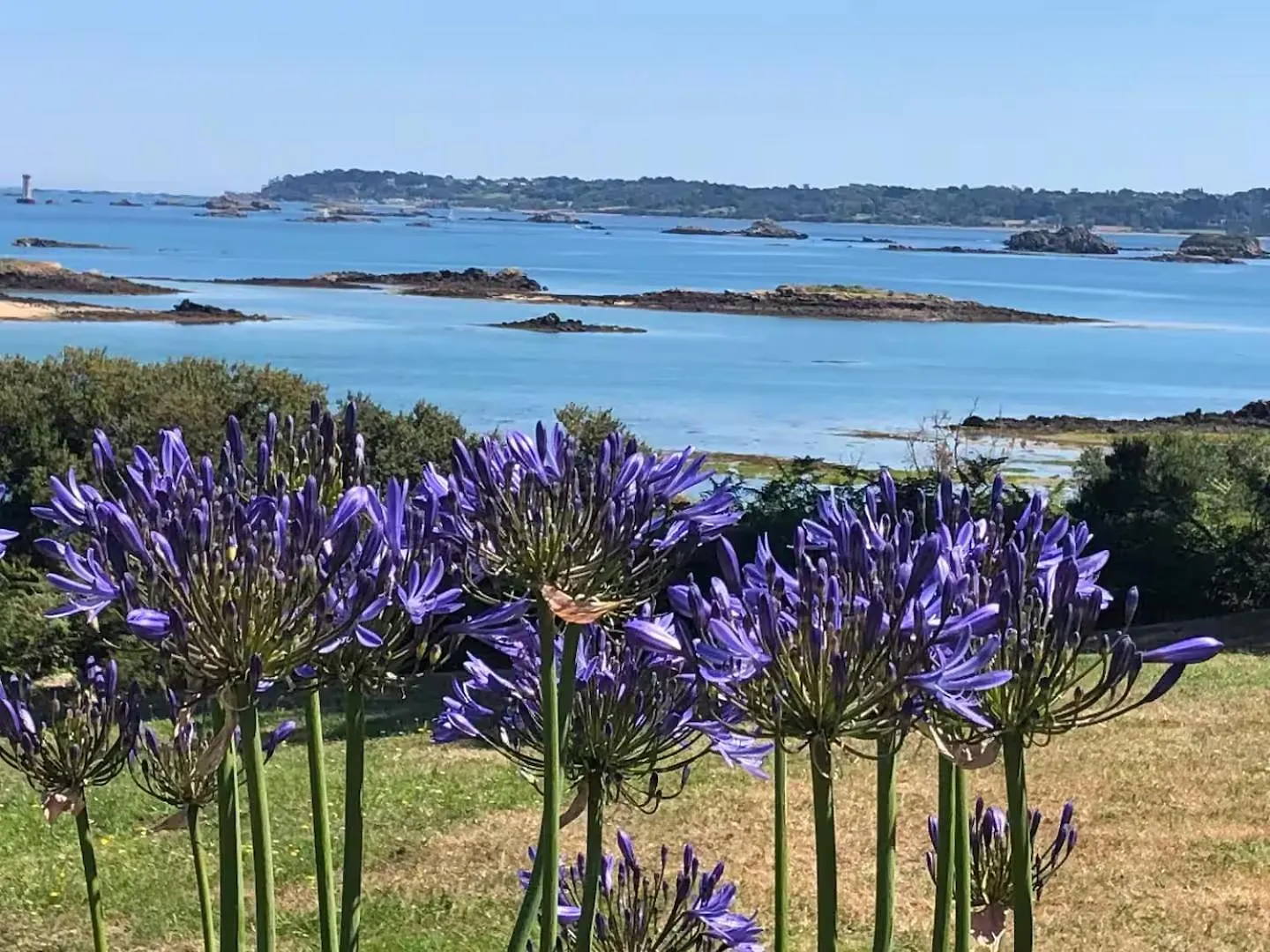 Πανσιόν La Bretonne Vue Mer Lanmodez